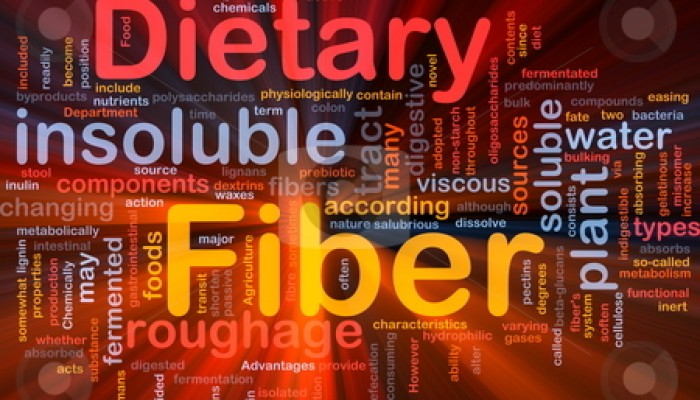 Fiber Facts and Net Carbs