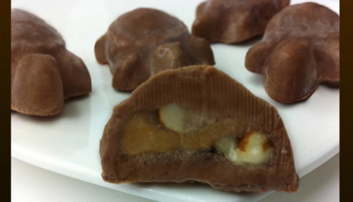 healthy turtles chocolates