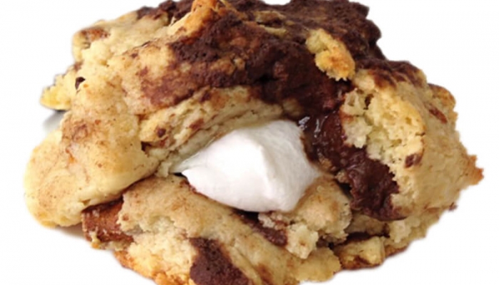 Quest S’mores Cookies