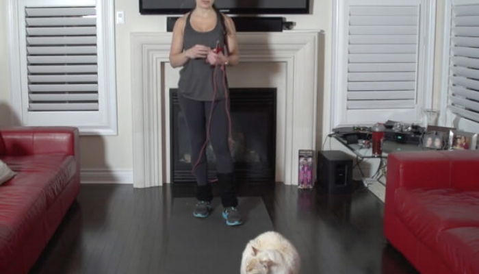 Start Here: Power Jumps 6