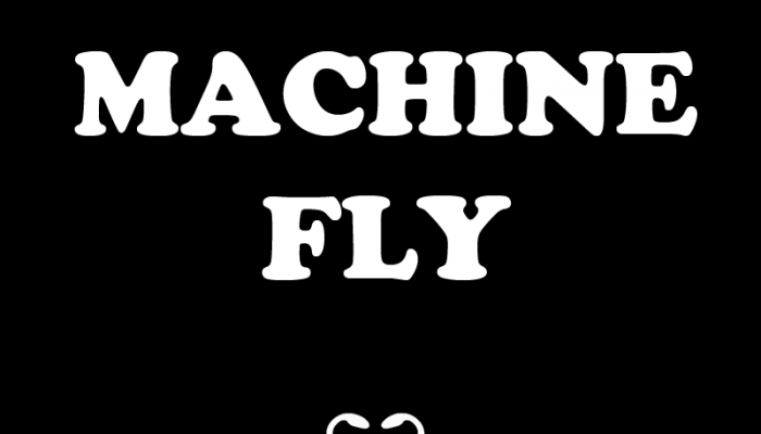 Machine Fly