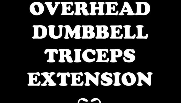 Seated Overhead Dumbbell Triceps Extension