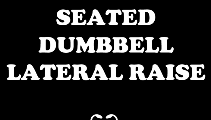 Seated Dumbbell Lateral Raise