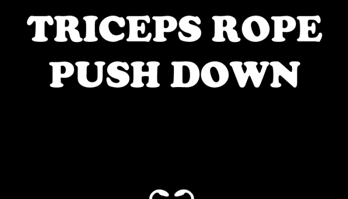 Triceps Rope Push Down