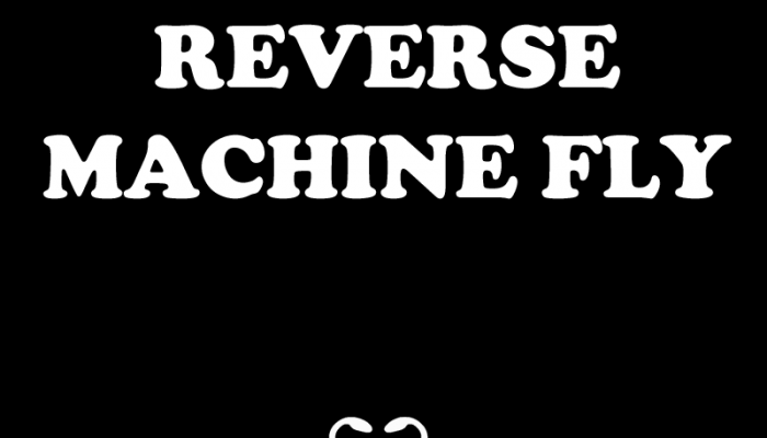 Reverse Machine Fly