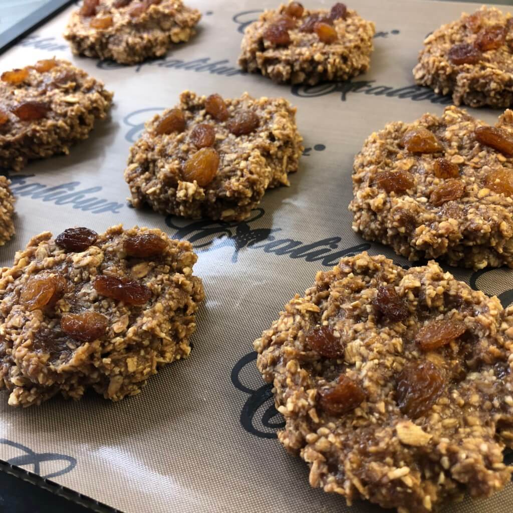 Oatmeal Raisin Dehydrator Cookies