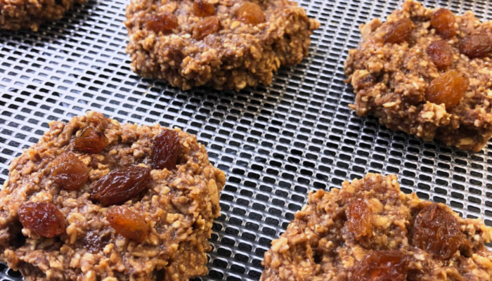 Oatmeal Raisin Dehydrator Cookies