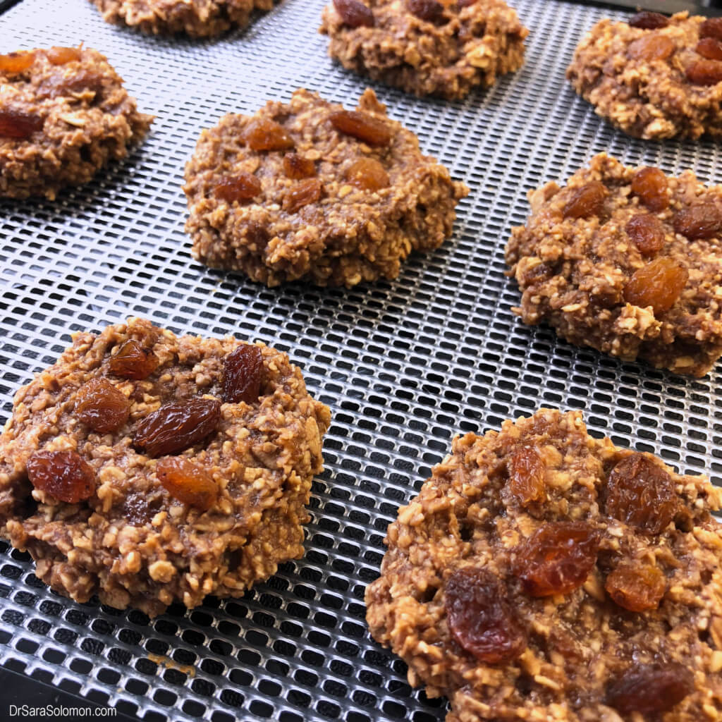 Oatmeal Raisin Dehydrator Cookies