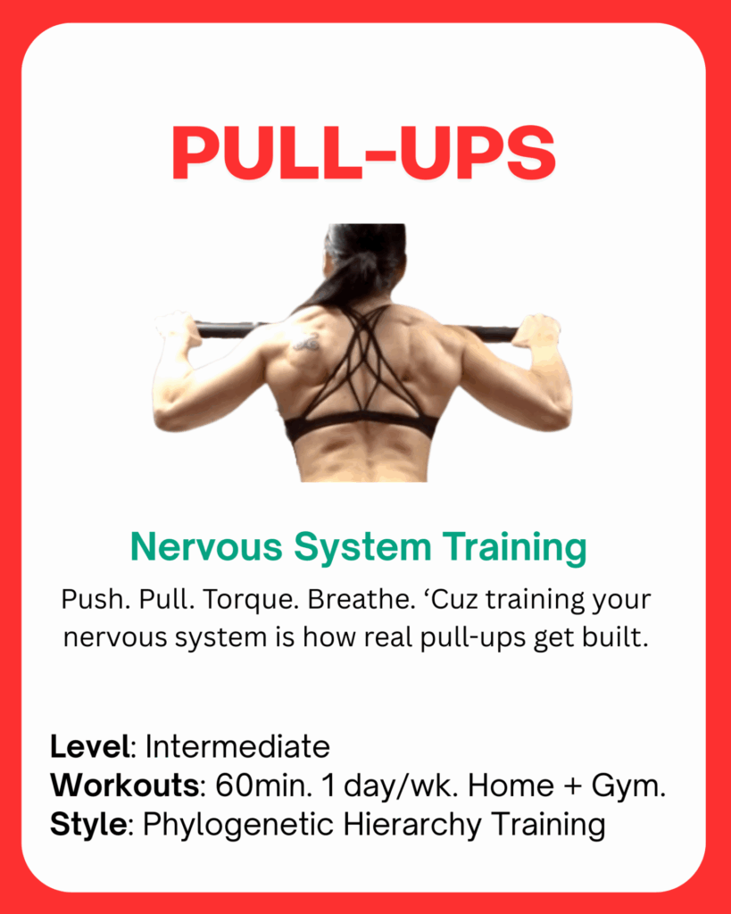 pull-ups program